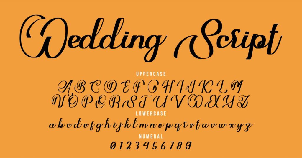 script-font typography